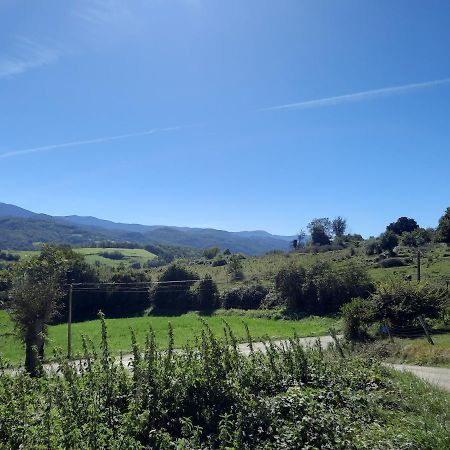 Chez Line Et Pierre: Appartement Spacieux, Lumineux Et Equipe La Bastide-de-Serou Bagian luar foto